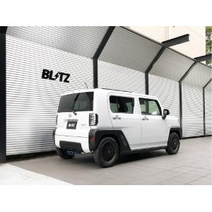 BLITZ ブリッツ ニュルスペック カスタムエディション VS