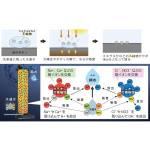 GREEN LIFE グリーンライフ 純水器 ...の詳細画像2