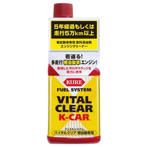 Castrol カストロール エンジンシャンプー 300ML : オートバックス
