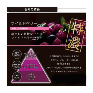 Carmate カーメイト ブラング ブースタ...の詳細画像3