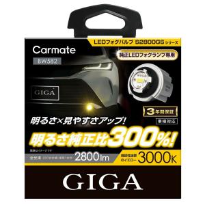 GIGA CARMATE カーメイト BW584 フォグランプ LED S3500GSD デュアル