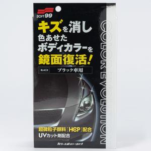 ソフト99 カラーエボリューション レッド車用 W-184 00505 | カー