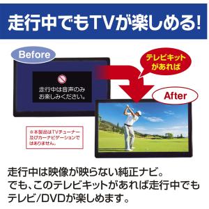 Data System データシステム TV-...の詳細画像1