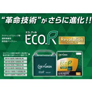 ER-M-55R/55B20R GSユアサ ジ...の詳細画像1