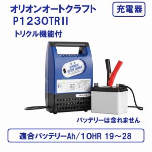 充電器 P12100S-TR 緊急車輌・農業車輌のメンテナンスに最適 オリオン