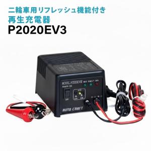 充電器 P12100S-TR 緊急車輌・農業車輌のメンテナンスに最適 オリオン
