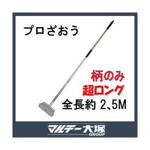 洗車ブラシ 柄のみ 2.5m  プロざおう  通水 ＊ブラシは付いていません。｜autoland