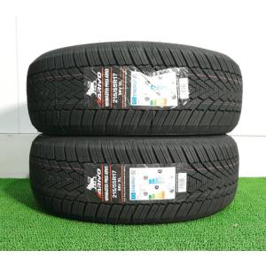 185/70R14 92T XL ARIVO ARW4 新品 スパイクタイヤ 2本セット 2025年製