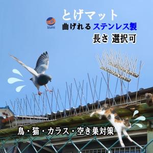 鳥よけ (スパイク) 選べる長さ 鳩よけ 100%ステンレス製 簡単設置 鳥害対策 鳥よけ対策 鳥よけグッズ 鳩よけグッズ カラスよけ 鳥害防止 糞害防止 ベランダ 屋根｜AUTOMAXizumi