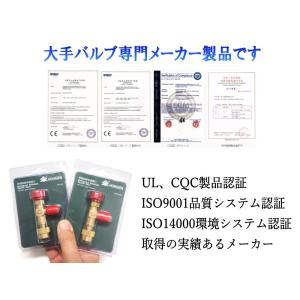 コントロールバルブ 異径タイプ 同径タイプ エ...の詳細画像4