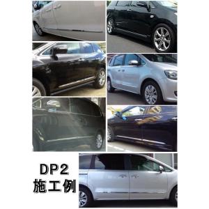 メッキモール (選べる2本セット) DP2 汎...の詳細画像3