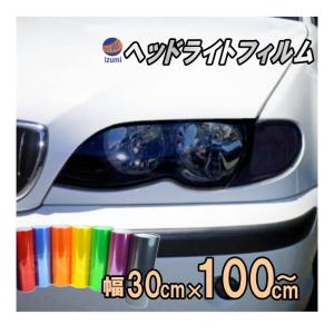 ヘッドライトフィルム (大) 幅30cm×100cm〜 長さ1m カラーフィルム レンズフィルム 保護プロテクション アイラインフィルム スモーク ポジション スモール LED