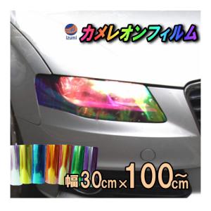 カメレオンフィルム (大) 幅30cm×100cm〜 長さ1m ヘッドライト