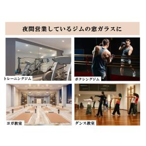 貼る鏡 ミラーフィルム (大) 青 幅100c...の詳細画像5