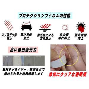 プロテクションフィルム (幅5cm) 幅5cm...の詳細画像2
