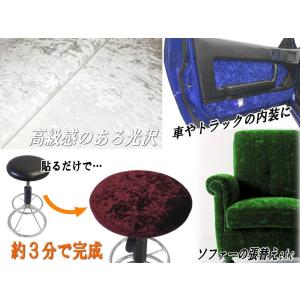 サンプル (チンチラ) 伸びる チンチラシート...の詳細画像2