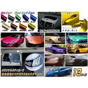 サンプル (マットクローム) 艶消し マットク...の詳細画像1