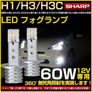 60Ｗ LEDフォグランプ 超小型◆SHARP社チップ H1 5500K 12V専用 LEDバルブ メール便送料無料！【即納】