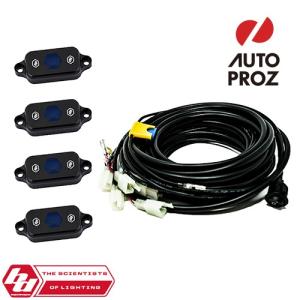 BajaDesigns 正規品 汎用 ロックライトキット アンバー : オートプロズ