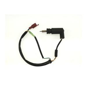 三輪 トライク スクーターGY6系エンジン250cc 300cc キャブレーターオートチョーク