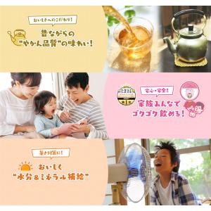 【4箱・96本】伊藤園 健康ミネラル麦茶250...の詳細画像2