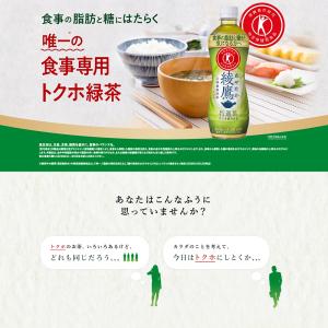 【2箱・48本】コカ・コーラ 綾鷹 特選茶 5...の詳細画像1