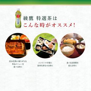 【2箱・48本】コカ・コーラ 綾鷹 特選茶 5...の詳細画像4
