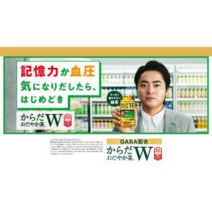 【2箱・48本】コカ・コーラ からだおだやか茶...の詳細画像1