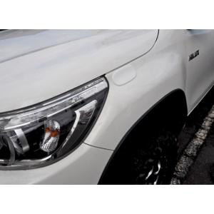 リミテッドチトセ】RICK'S アシスト ミラーホールカバー ハイラックス
