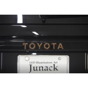 ランドクルーザー250 クロマティックシールド レオパード リヤ