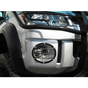 ロードハウス デリカ D5 前期 KADDIS フォグランプガード ブラック