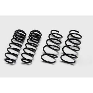 RSR RS-R Ti2000ダウンサス レクサスES300h AXZH10/FF H30/10