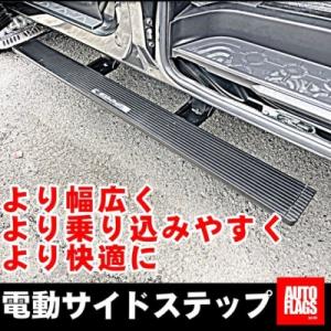 LANDLIC ランドリックサイドステップ フロント用 LAND-3D5EX-007