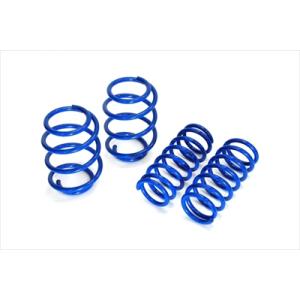 VN レヴォーグ GT/GT EX・GT-H/GT-H EX ローダウンスプリング