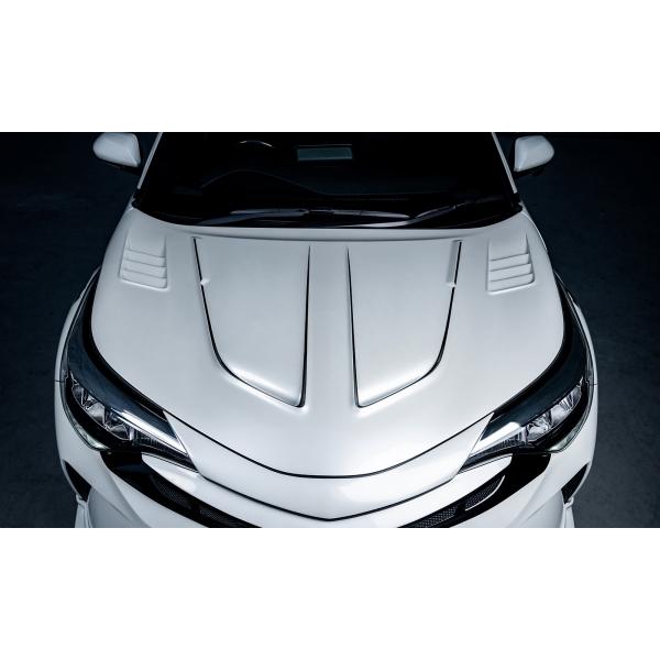 ロウェン C-HR ZYX11/NGX10/NGX50 RRレーシングボンネット FRP 素地