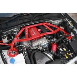 オートエクゼ オートエグゼ(AUTOEXE) スポーツインダクション