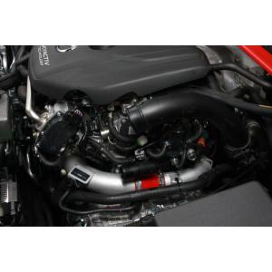 オートエグゼ　スポーツインダクションボックス　マツダアクセラ前期2.0L用 オートエクゼ オートエグゼ(AUTOEXE) スポーツインダクションボックス