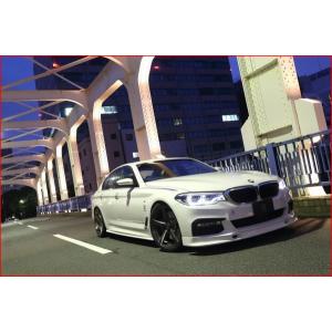 BMW 5シリーズ Mスポーツ G30/G31 19インチ フロント・リア各1本 BMW 5シリーズ Mスポーツ G30/G31 19インチ フロント・リア各1本