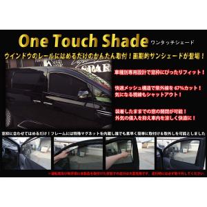 20系ヴェルファイア キャンバープレート 1度 3度 【シックスセンス