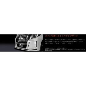 TRD ティーアールディー アルファード 30 後期 パフォーマンスダンパー