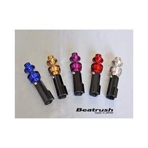 レイル / ビートラッシュ レイル(LAILE) スイフトスポーツ ZC32S 6速MT