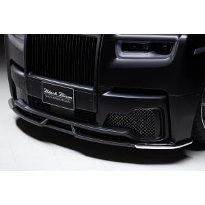 エイムゲイン LEXUS LS500 VXFA60/55 F SPORT AIMGAIN 純VIP サイド
