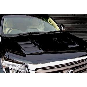 リミテッド チトセ プラド 150 エアロマッドガード リアセット