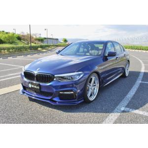 TDI チューニング 正規代理店 サブコン BMW 523d 190PS CRTD4 TWIN