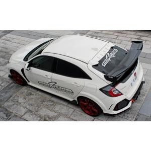 VOLTEX ボルテックス GTウイング Type2 ウエット カーボン 1600mm