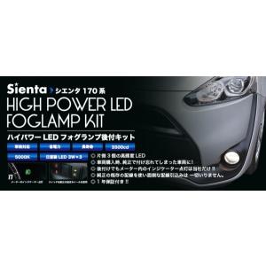 ノブレッセ シエンタ 170系 後期 マークレスキット 塗装済 ホワイト
