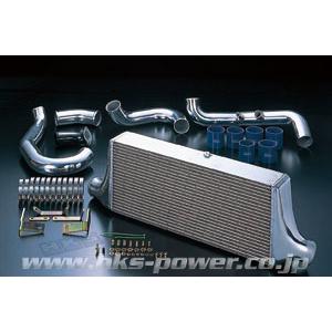 エッチケーエス HKS スカイラインGT-R BNR32 インタークーラーキット Rタイプ 600X...