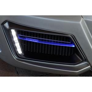 ユージランドボディ ゼロシステム LS460/600hL USF40/41/45 純正