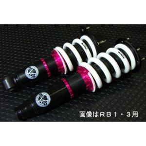 ブイビジョン オデッセイRB3 V-ashiスペシャル 踏める車高調