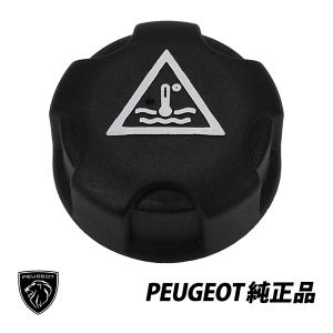 PEUGEOT（プジョー） シトロエン DS 純正 308 RCZ C4 DS4 ガソリン